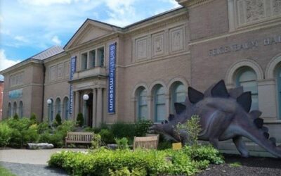 Berkshire Museums and Attractions… other than us